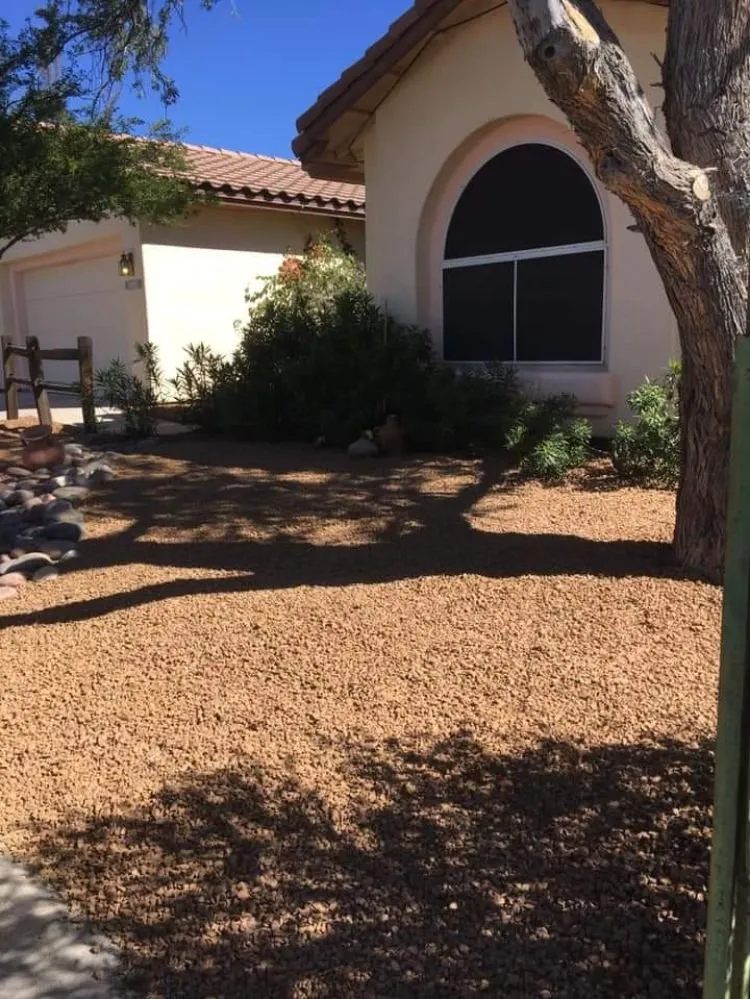 Local yard maintenance in Marana, AZ by Best in the west