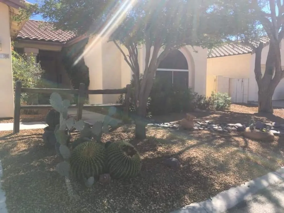 Affordable yard cleanup service for homes in Marana, AZ by Best in the west