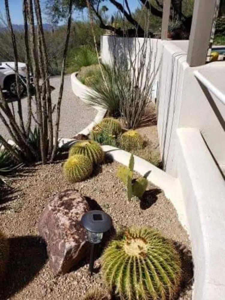 Reliable yard cleanup service experts serving Marana, AZ - Best in the west