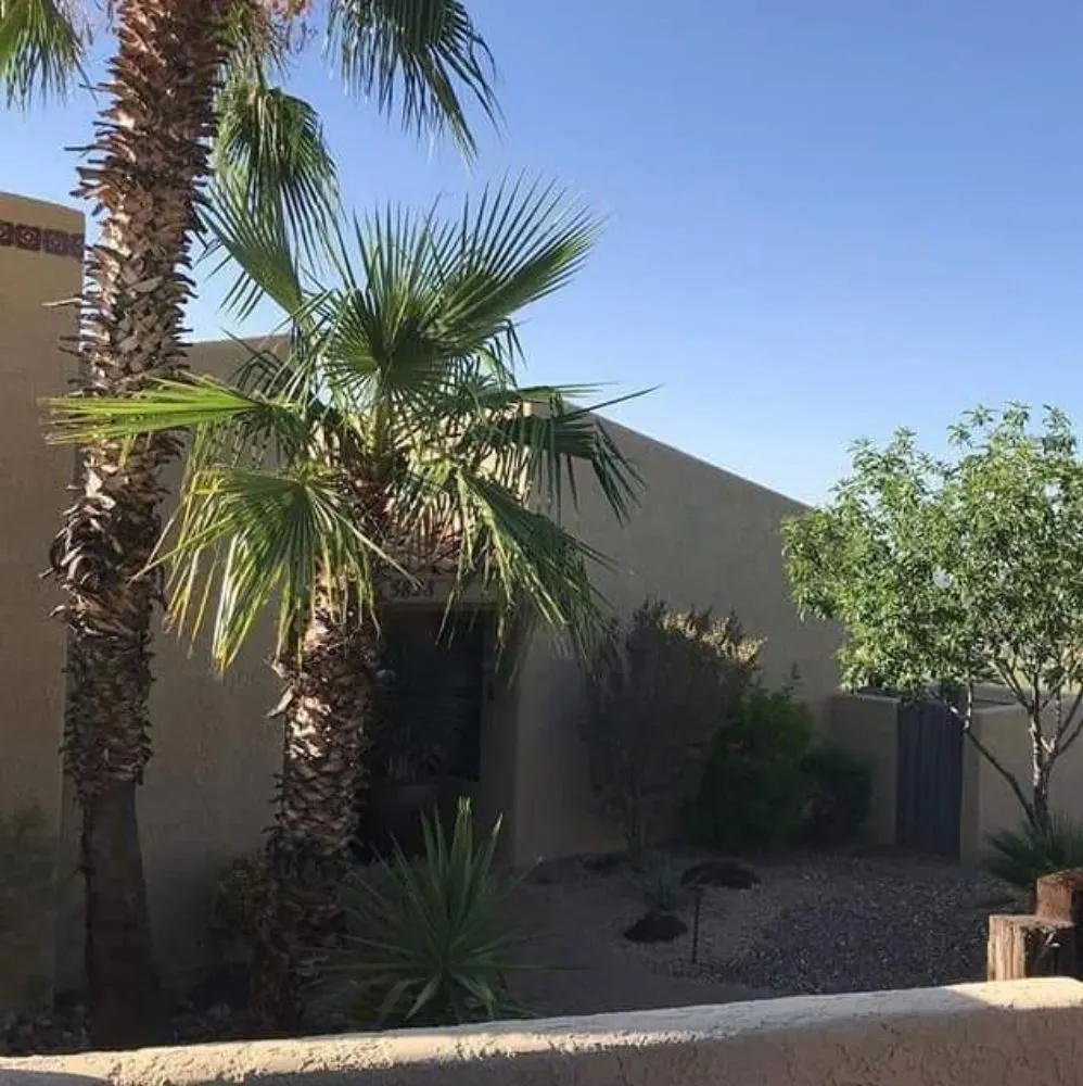 Local lawn mowing service experts serving Marana, AZ - Best in the west