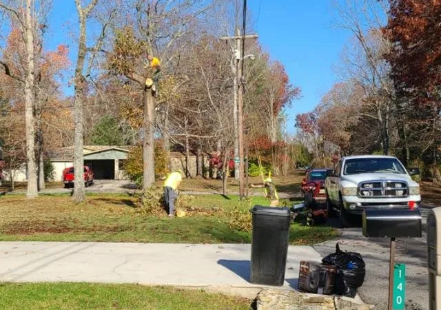 Professional outdoor landscaping in Crossville, TN - Best King James Tree and Stump Service