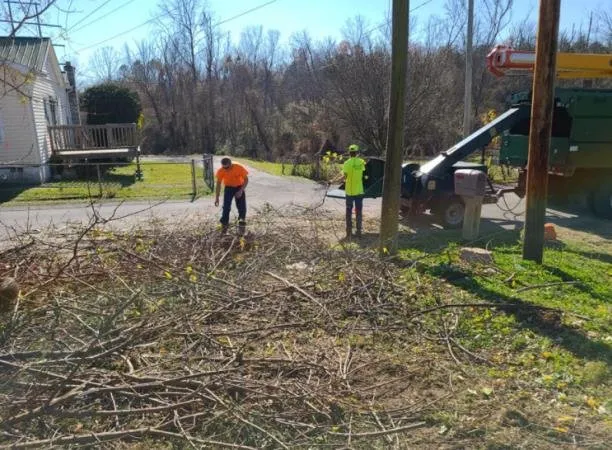 Top-rated landscape design for outdoor upgrades in Crossville, TN by Best King James Tree and Stump Service