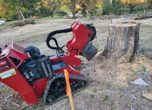 Trusted yard maintenance for beautiful yards across Crossville, TN - Best King James Tree and Stump Service
