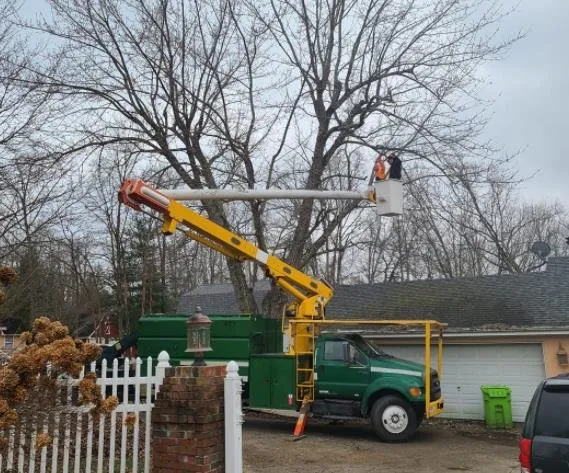 Custom landscaping services in Crossville, TN - Best King James Tree and Stump Service