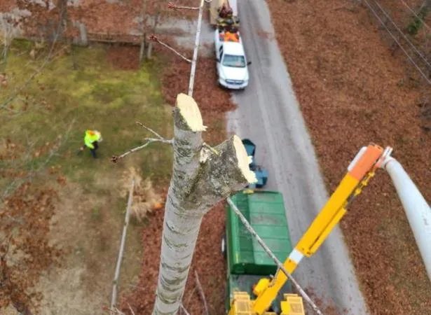 Expert lawn mowing service in Crossville, TN by Best King James Tree and Stump Service