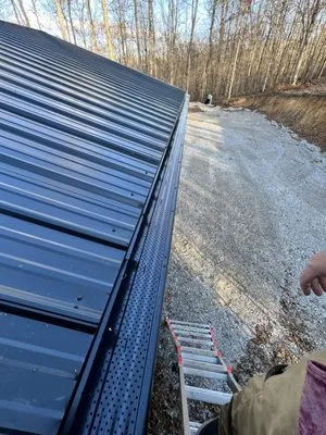 Best King James Tree and Stump Service Logo