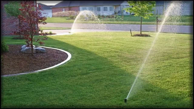 Custom lawn care service in Richmond Hill, GA by Best Landscape