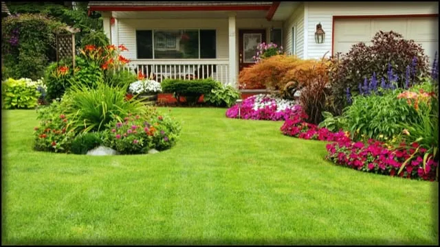 Expert yard cleanup service for residential properties in Richmond Hill, GA by Best Landscape