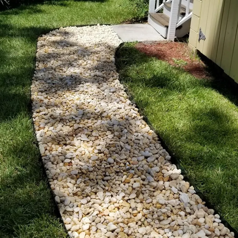 Expert yard cleanup service in Savannah, GA - Best Landscape