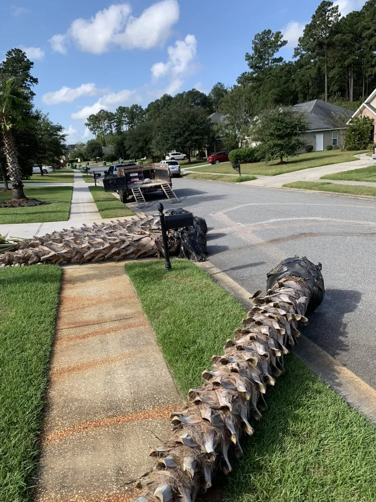 Top-rated outdoor landscaping for residential properties in Savannah, GA by Best Landscape