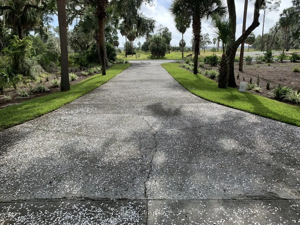 Expert yard cleanup service in Savannah, GA - Best Landscape