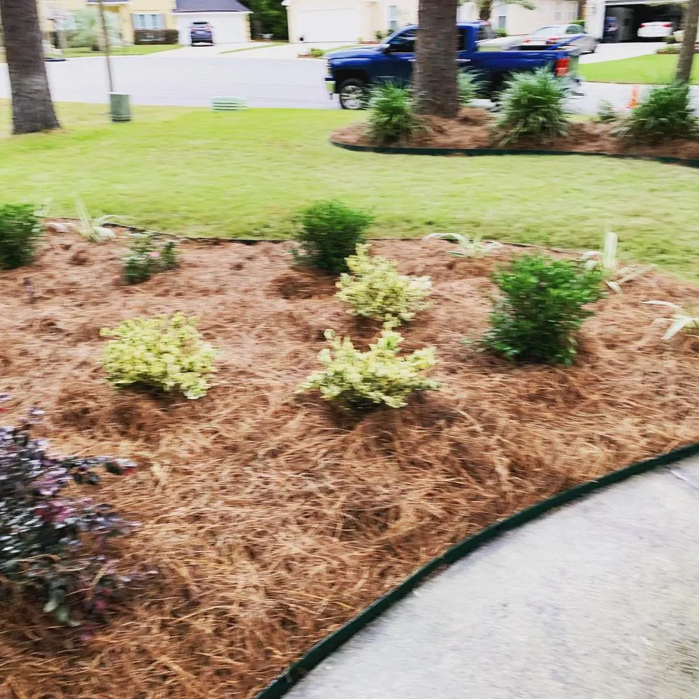 Local landscape installation in Savannah, GA - Best Landscape