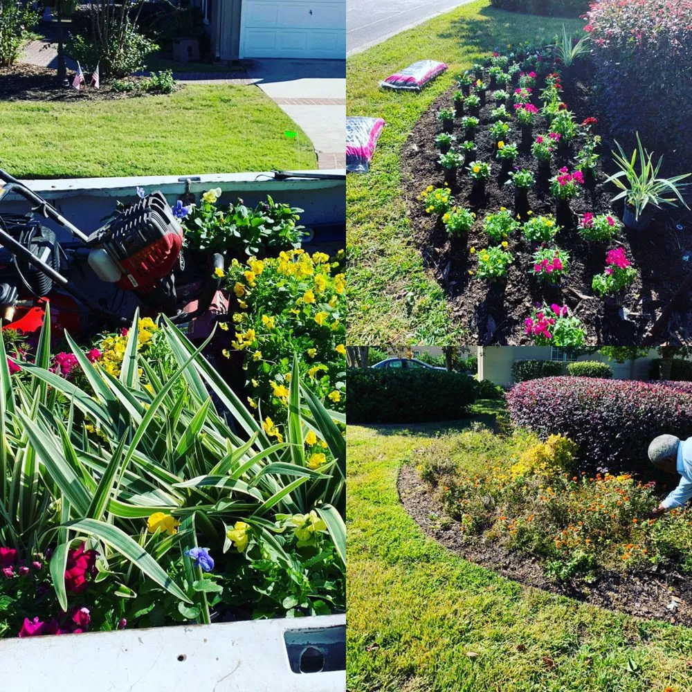 Reliable yard maintenance in Savannah, GA - Best Landscape