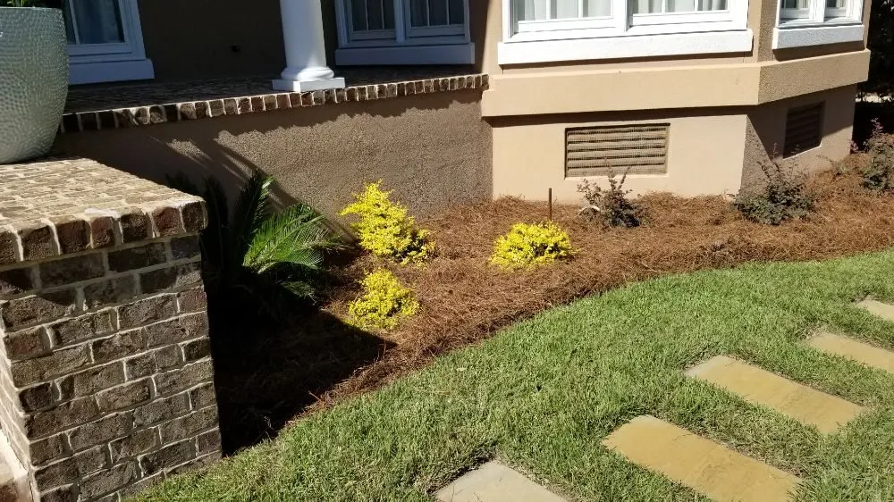 Affordable landscaping services in Savannah, GA by Best Landscape