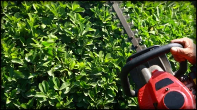 Affordable residential landscaping in Savannah, GA by Best Landscape