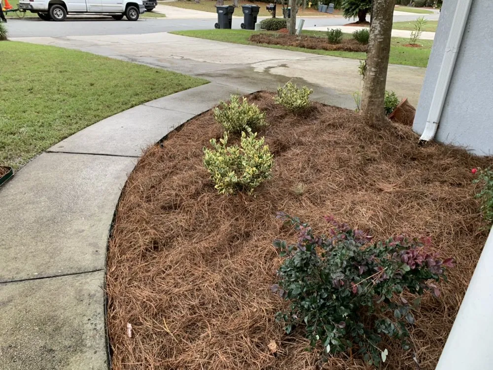 Custom yard cleanup service for year-round maintenance across Savannah, GA - Best Landscape