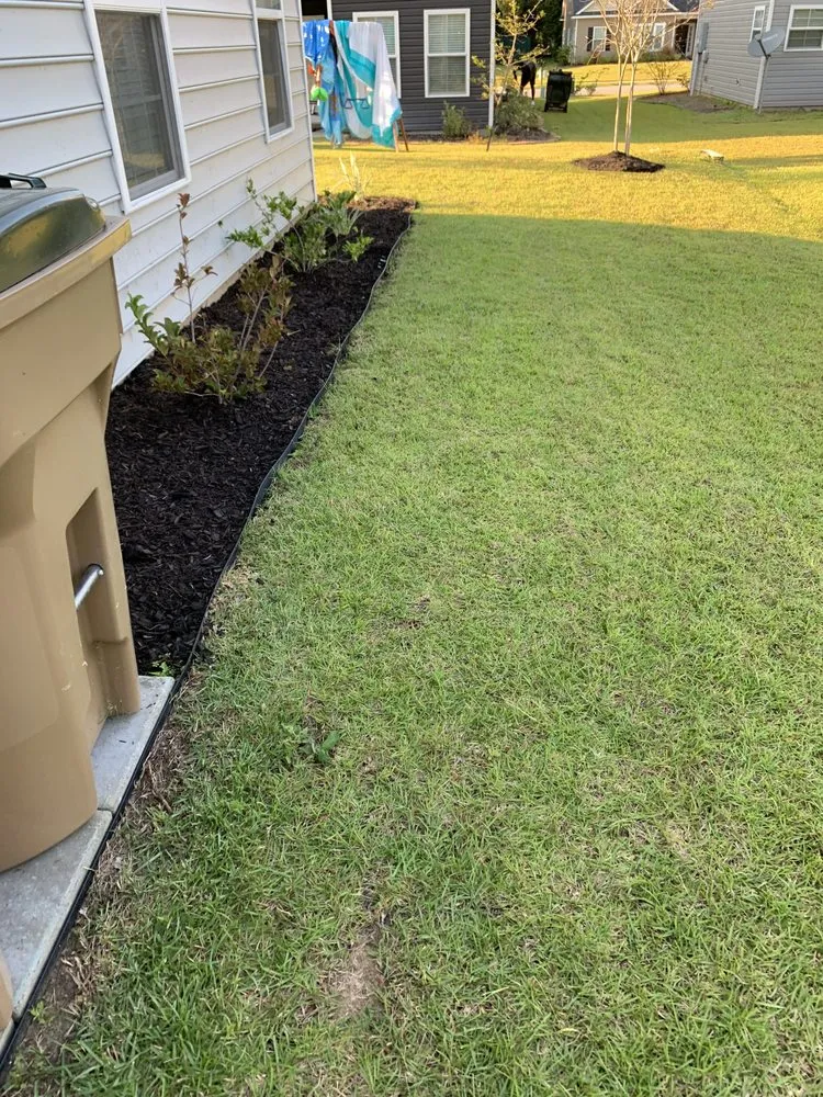 Affordable yard maintenance in Savannah, GA - Best Landscape