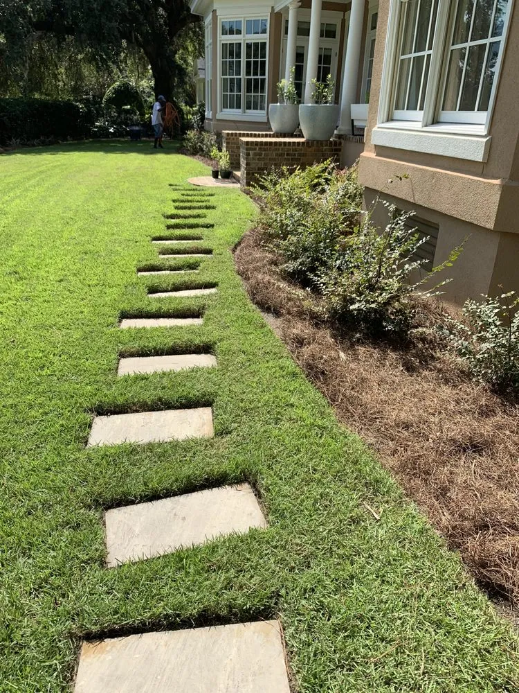 Top-rated landscaping services for beautiful yards across Savannah, GA - Best Landscape