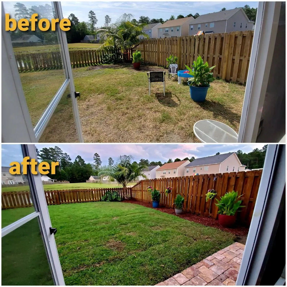 Top-rated landscaping services experts serving Savannah, GA - Best Landscape