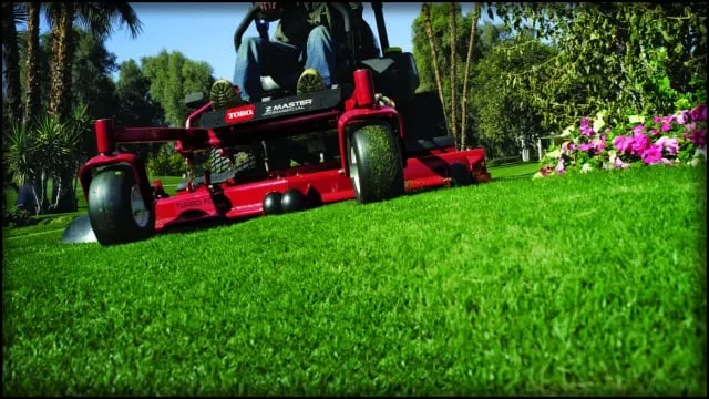 Affordable outdoor landscaping in Savannah, GA by Best Landscape