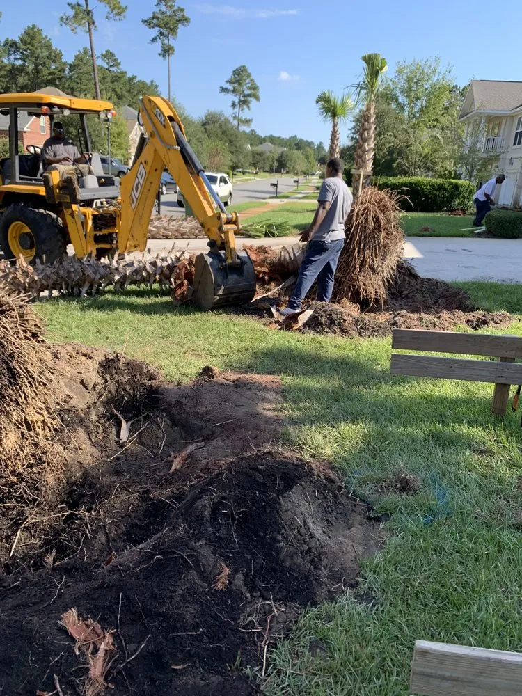 Professional outdoor landscaping for outdoor upgrades across Savannah, GA - Best Landscape