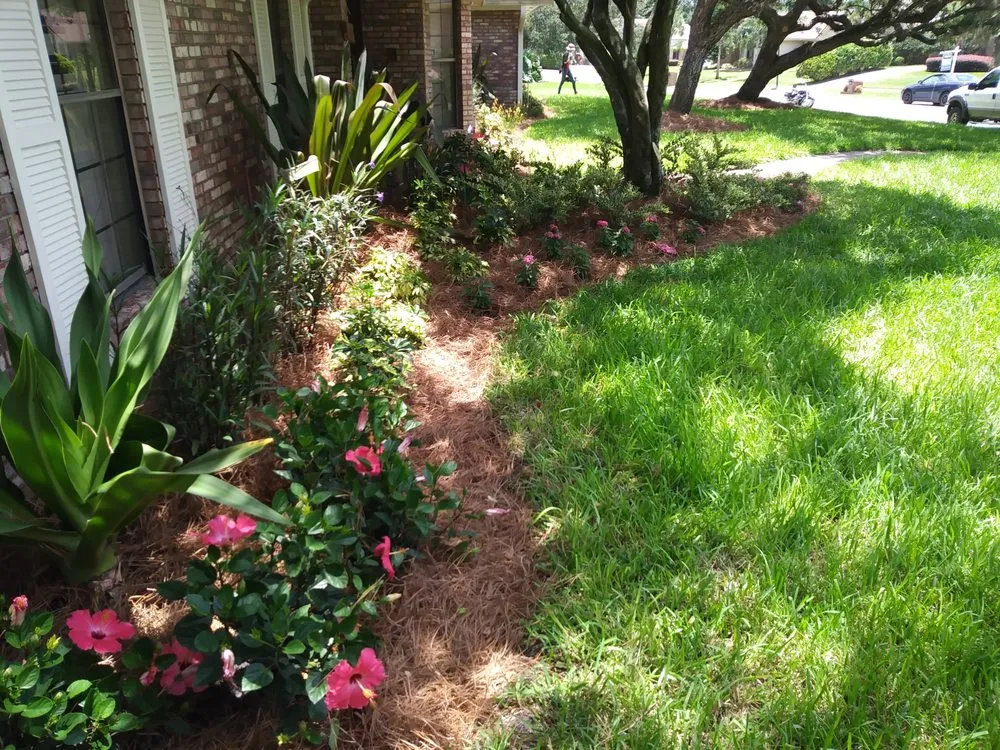 Custom landscaping services near you across orlando, FL - Best Landscape Services