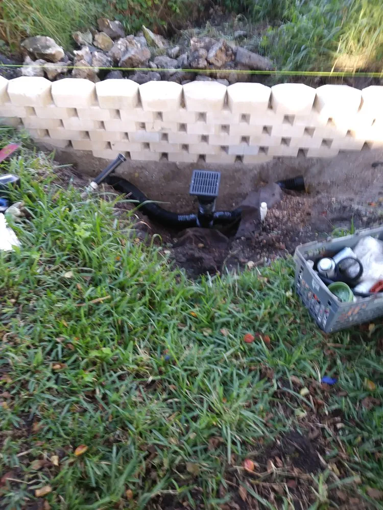 Top-rated lawn care service in orlando, FL - Best Landscape Services