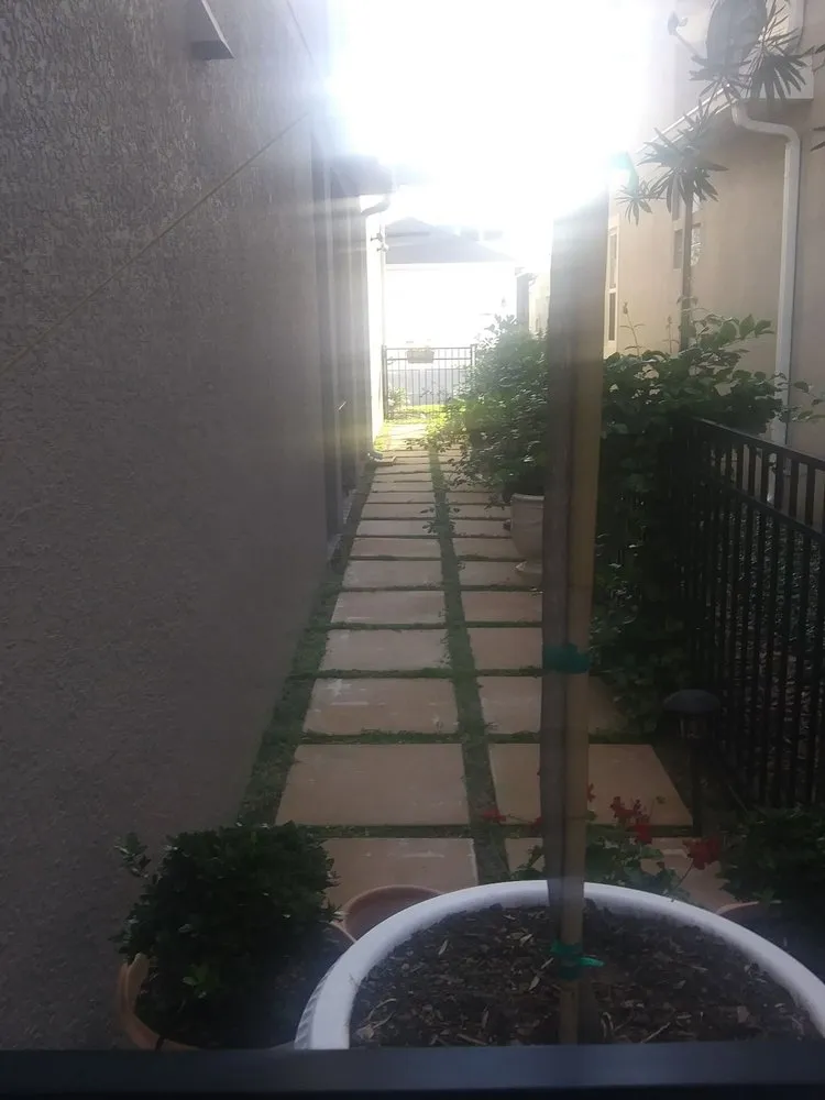 Trusted outdoor landscaping experts serving orlando, FL - Best Landscape Services