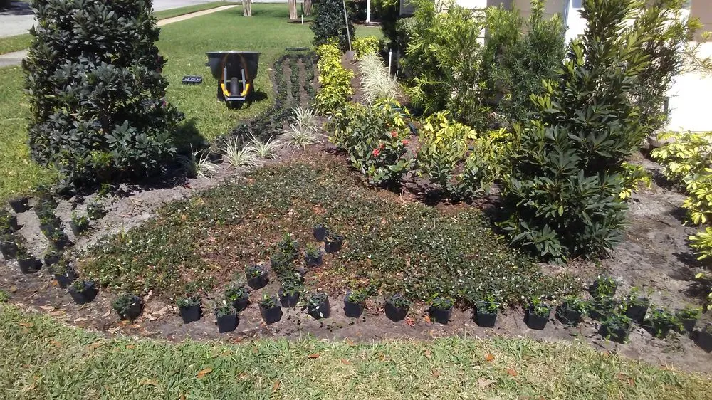 Reliable residential landscaping in orlando, FL - Best Landscape Services