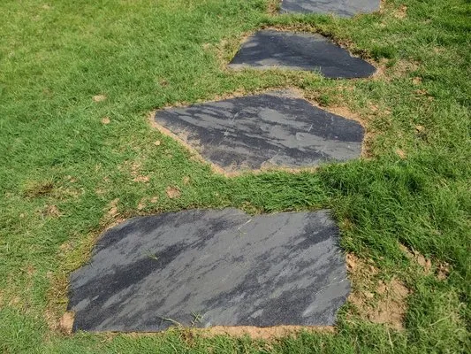 Best Landscapes And Solutions NTX