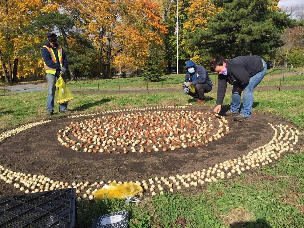 Professional lawn mowing service for beautiful yards in Blauvelt, NY by Best Landscaping