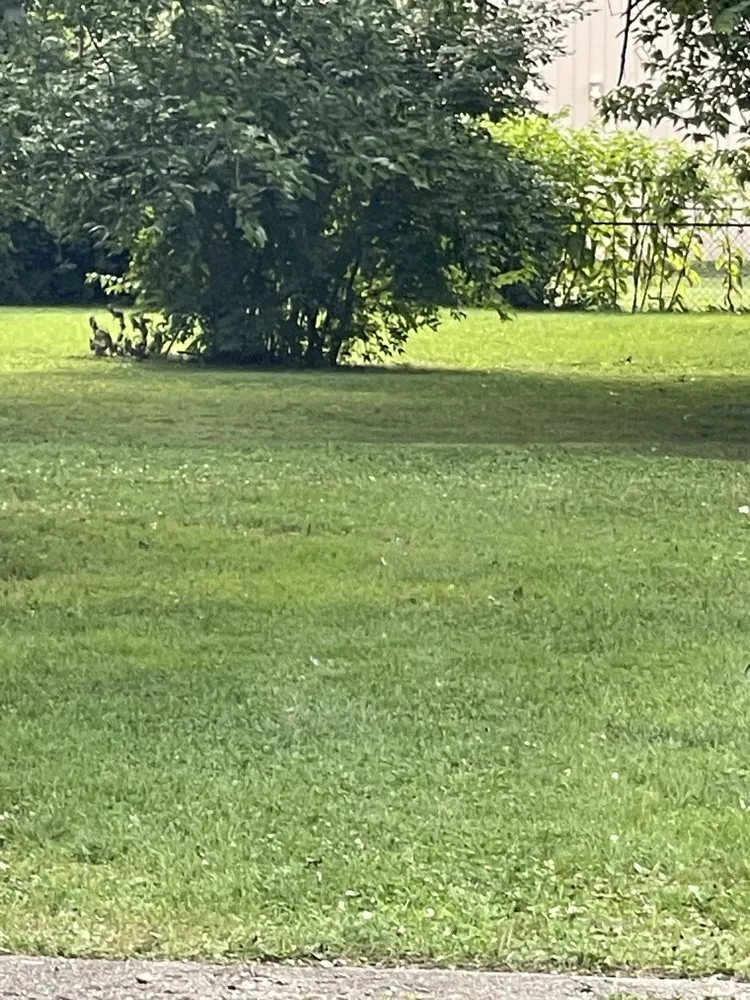 Reliable landscape design in Fairfield, OH - Best Landscaping