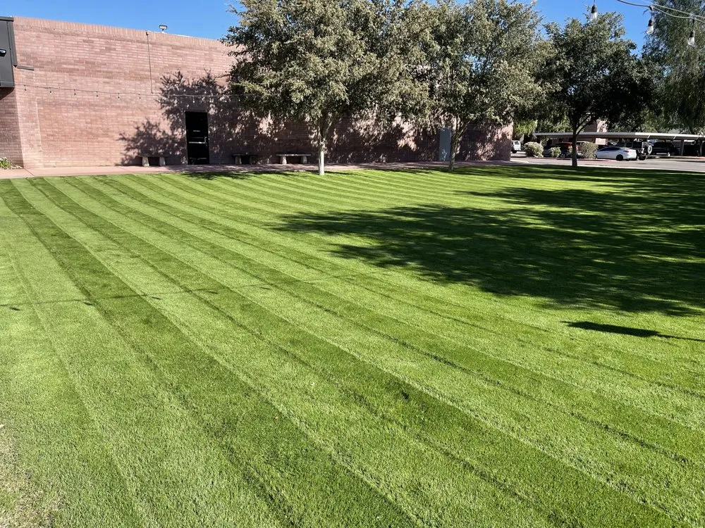 Expert landscaping services in Queen Creek, AZ by Best Landscaping Groups