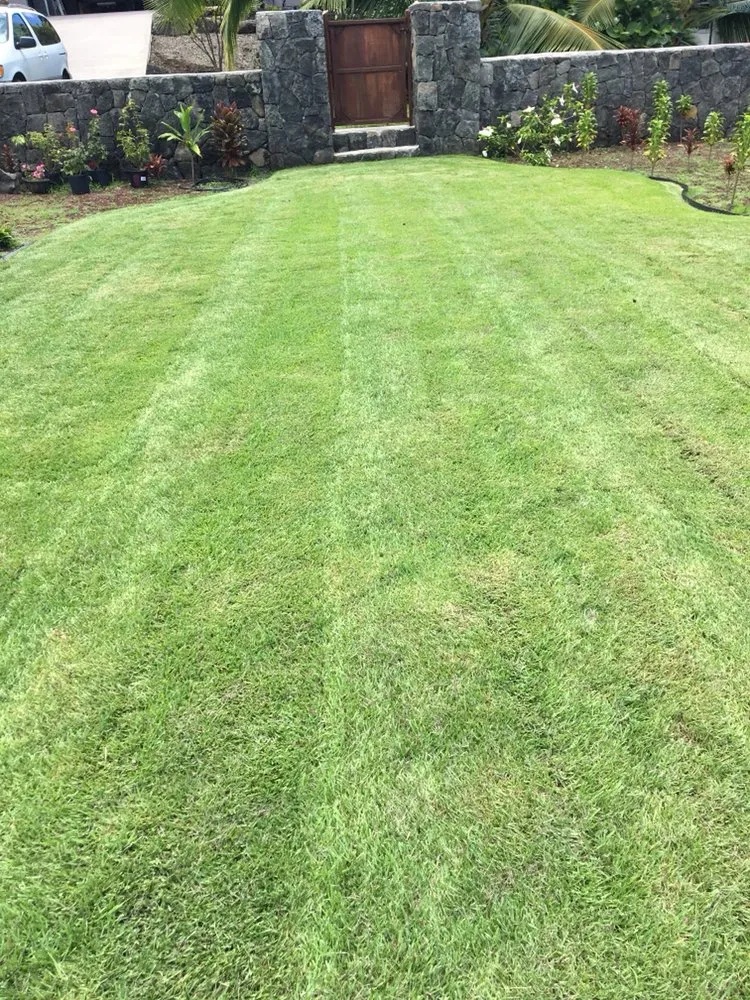 Expert residential landscaping in Captain Cook, HI - Best Landscaping Hawaii