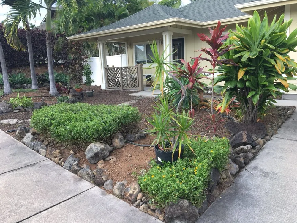 Local yard cleanup service near you across Captain Cook, HI - Best Landscaping Hawaii