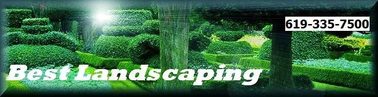 Affordable yard maintenance in San Diego, CA - Best Landscaping