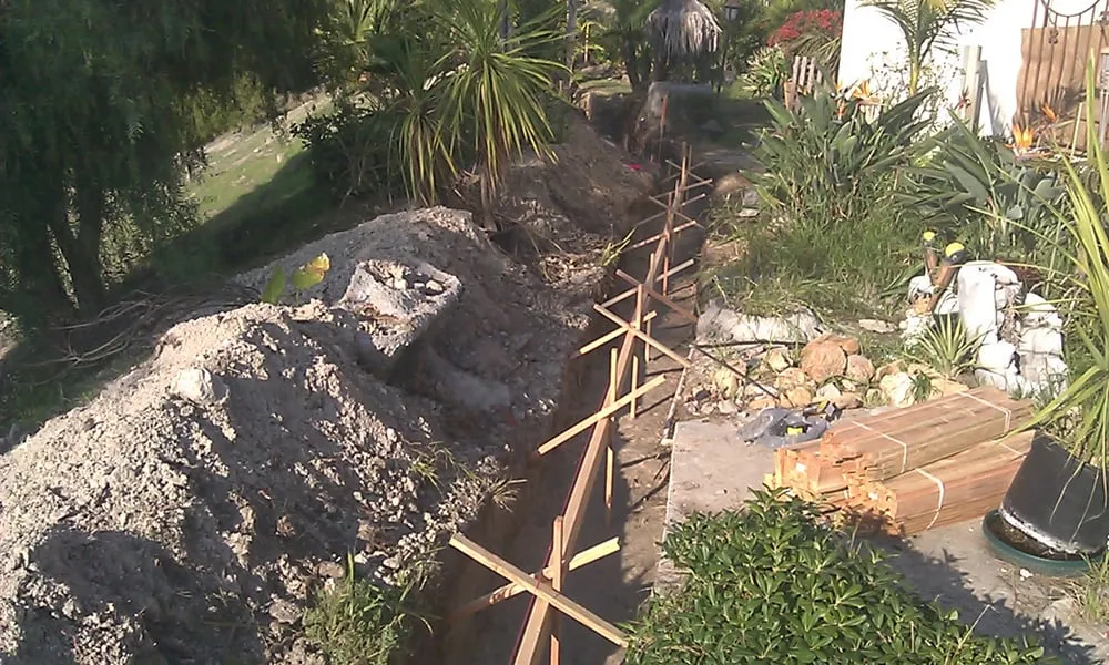 Trusted yard cleanup service experts serving San Diego, CA - Best Landscaping