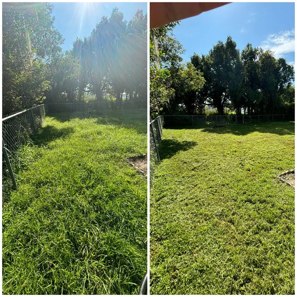 Local outdoor landscaping in Land O' Lakes, FL by Best Landscaping Service