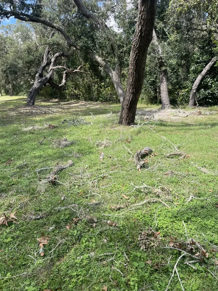 Expert lawn mowing service in Land O' Lakes, FL - Best Landscaping Service