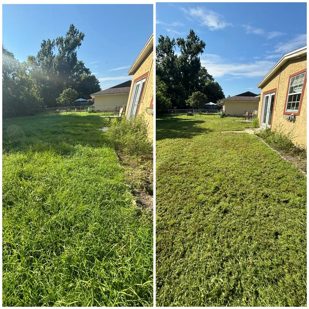 Top-rated landscaping services experts serving Land O' Lakes, FL - Best Landscaping Service