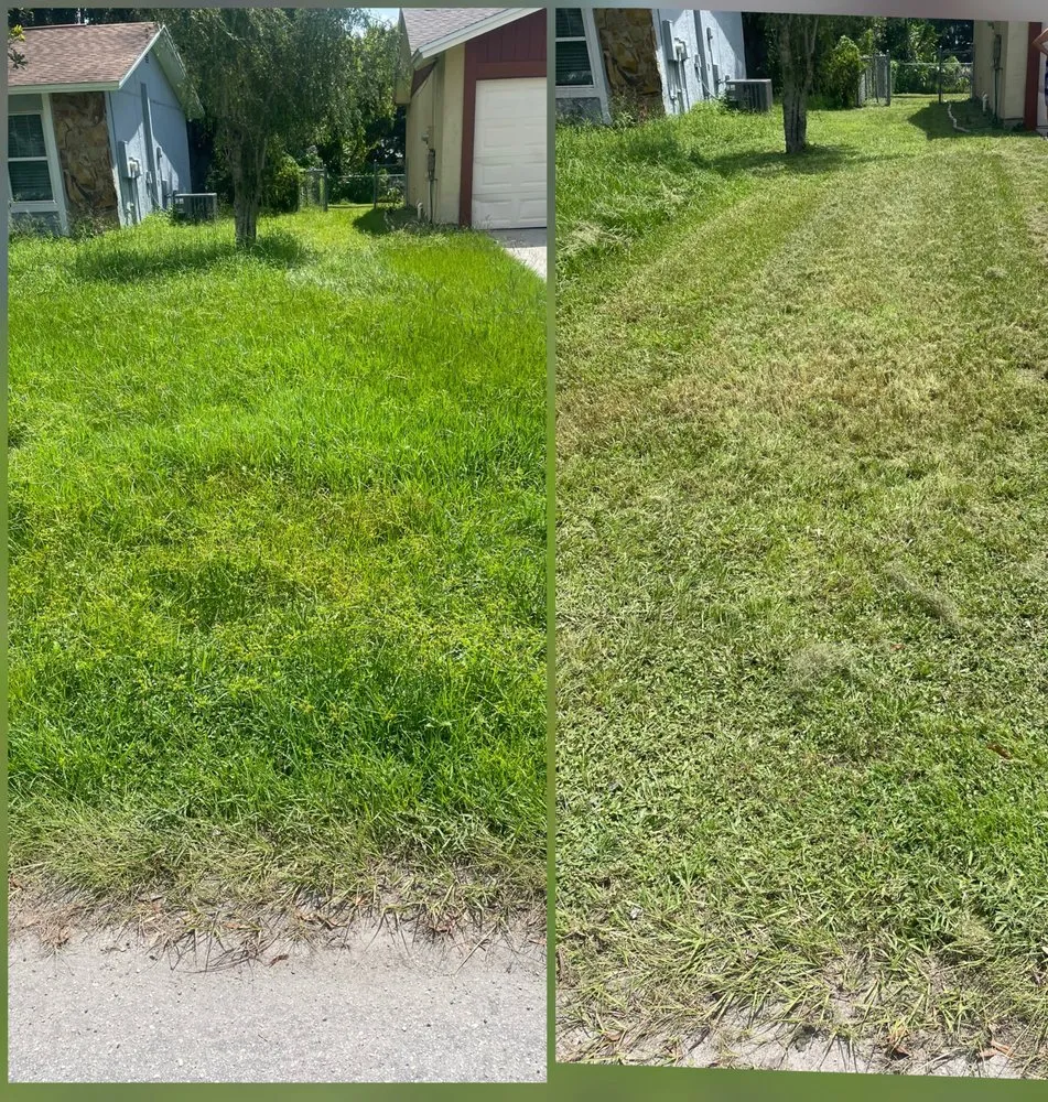 Custom yard cleanup service in Land O' Lakes, FL - Best Landscaping Service