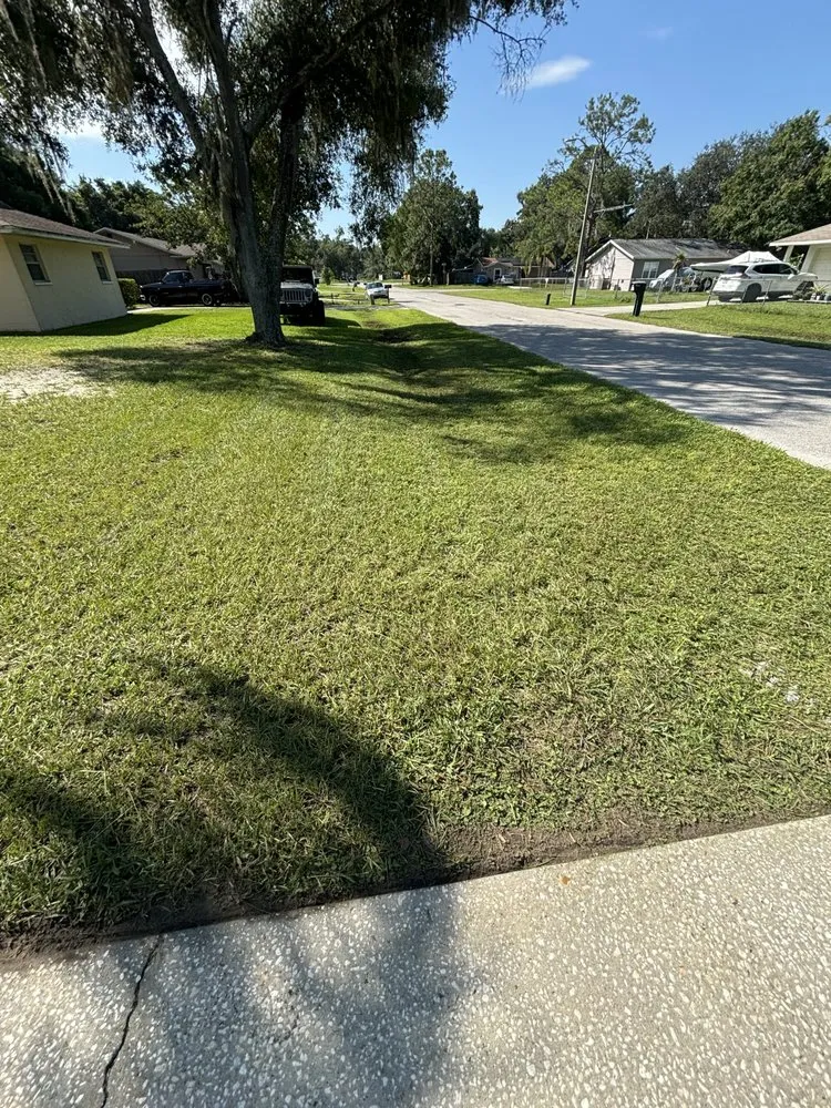 Expert landscaping services in Land O' Lakes, FL - Best Landscaping Service