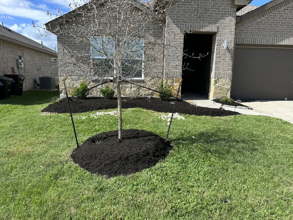 Trusted residential landscaping in Arcola, TX by Best Landscaping Services