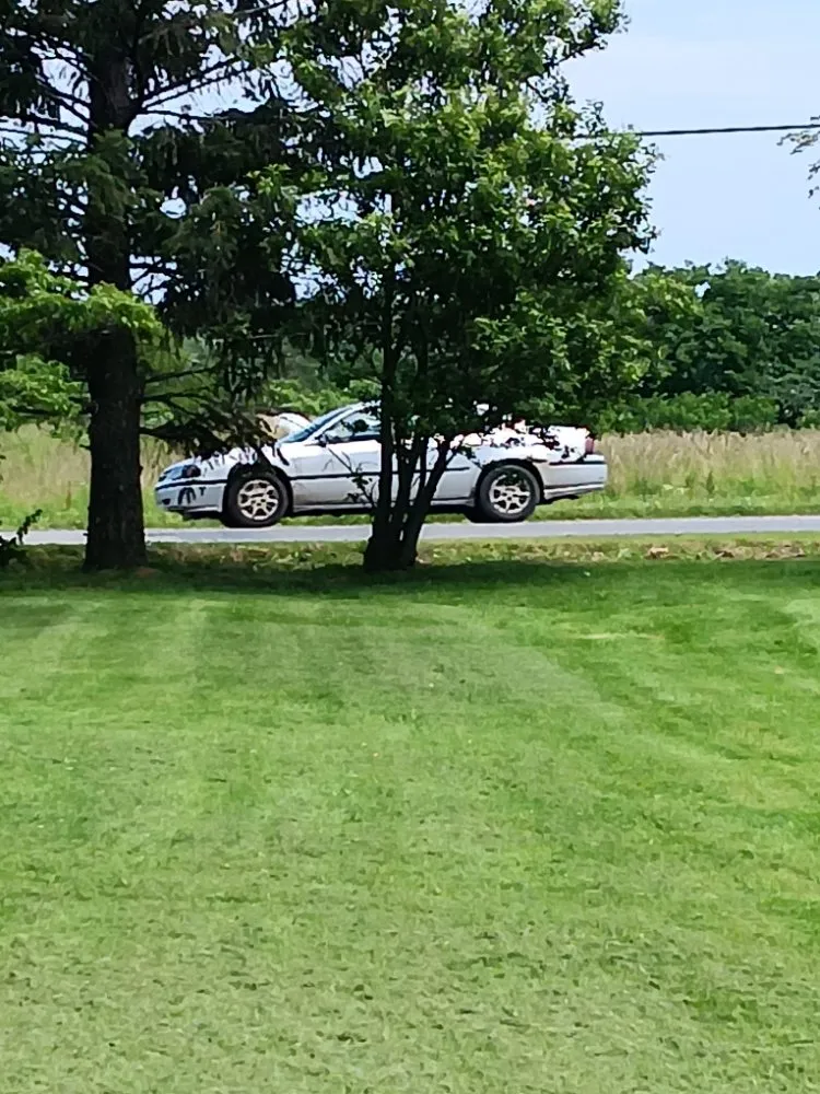 Trusted landscape design in Westfield, NY - Best Landscaping