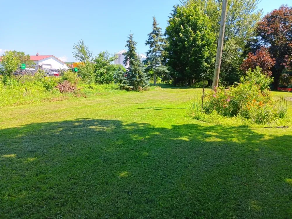 Top-rated yard maintenance for year-round maintenance in Westfield, NY by Best Landscaping