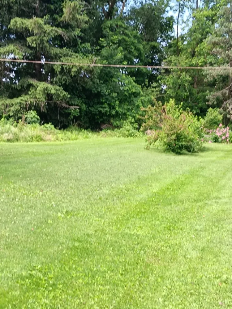 Custom landscape design in Westfield, NY - Best Landscaping