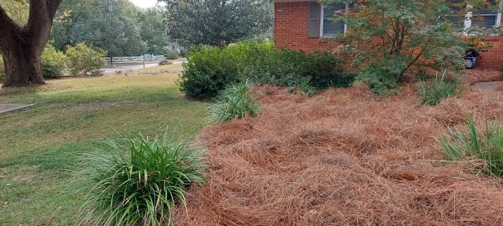 Professional residential landscaping in Mobile, AL by Best Lawn Care & Power Wash