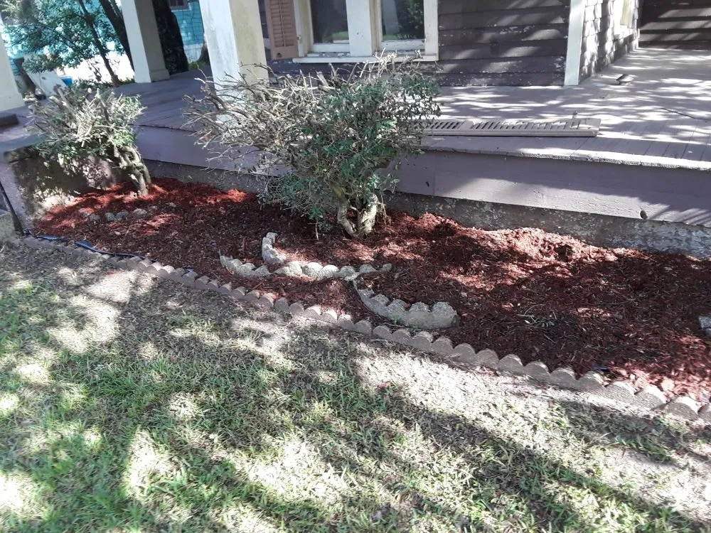 Custom yard maintenance experts serving Mobile, AL - Best Lawn Care & Power Wash