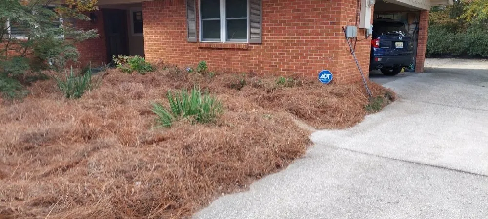 Custom residential landscaping for outdoor upgrades in Mobile, AL by Best Lawn Care & Power Wash