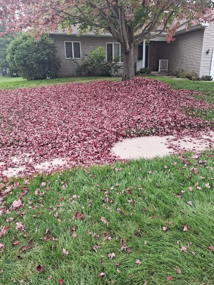 Custom landscape installation in Iowa City, IA by Best Lawn Care